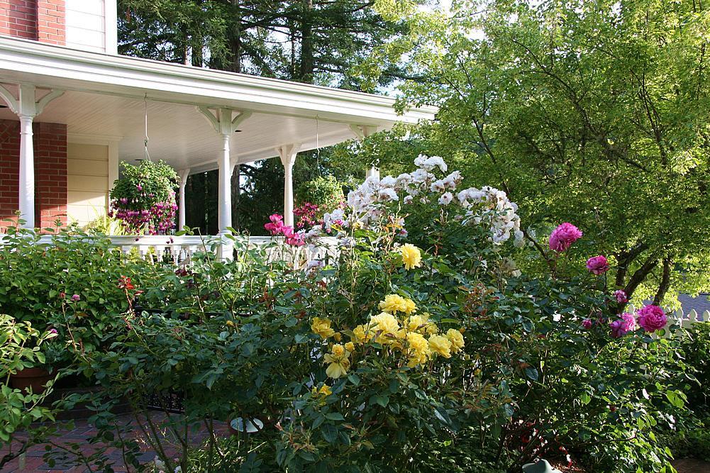 Inn At Occidental Exterior photo